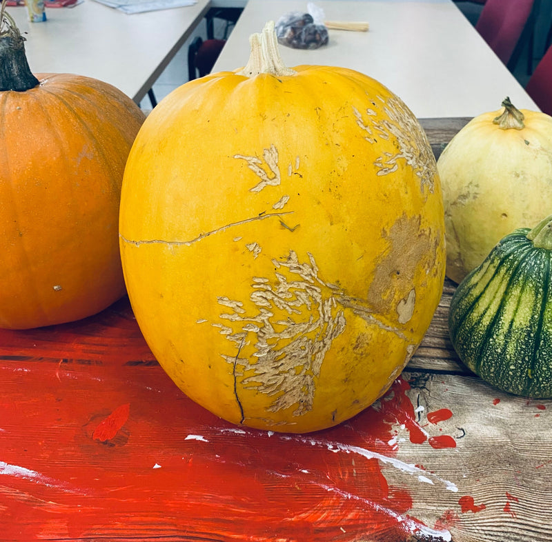 Jak vytvořit dekorace na Halloween