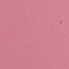 Dekorační guma EVA sheet 2mm 20x30cm – , Pastel rose
