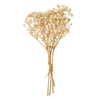 Gypsophila přírodní / 4 stonky, 20 cm