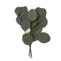 Stabilizovaný eukalyptus Populus - zelený / 4 stonky, 20 cm
