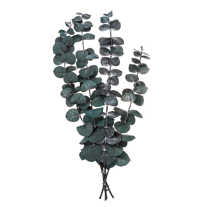 Stabilizovaný eukalyptus baby blue / 4 stonky, zelený, 20 cm