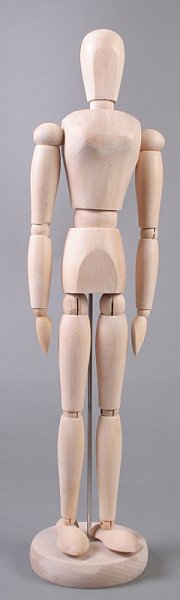 Dřevěný model lidského těla - žena - 40 cm