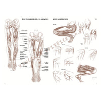 Leonardova kolekce 04 Anatomie