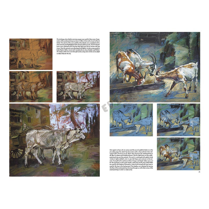 Leonardo Collection 13 - Zvířata