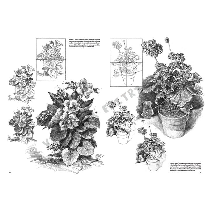 Leonardo Collection 21 Flowers Drawing Book
