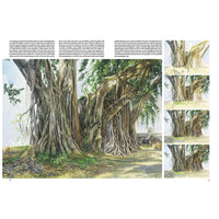 Leonardo Collection 45 stromů a listů