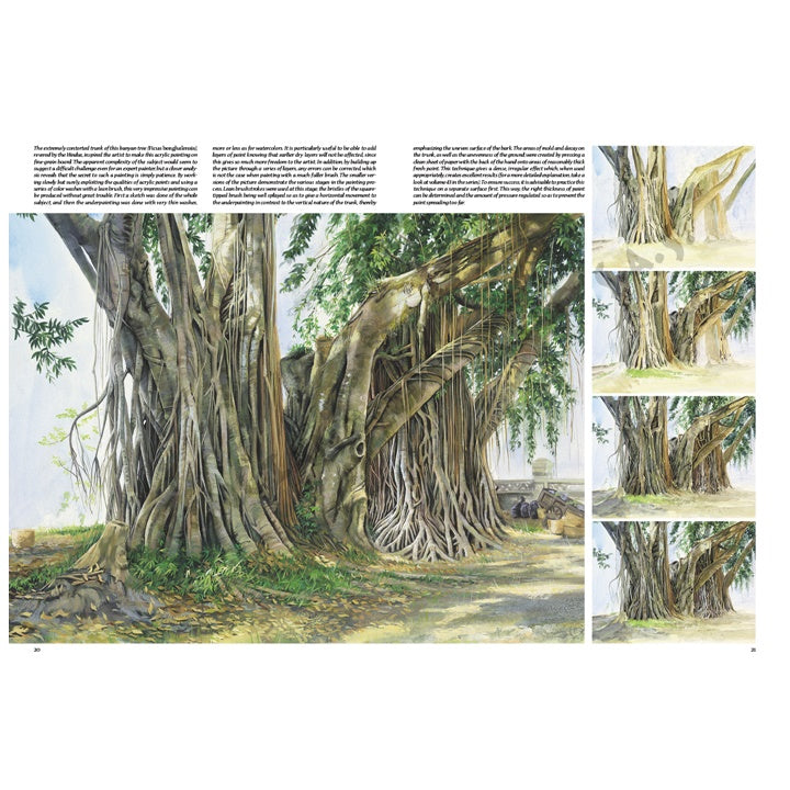Leonardo Collection 45 stromů a listů
