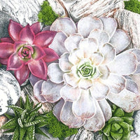 Ubrousky na dekupáž Succulent Plants and Stones Composition - 1 ks