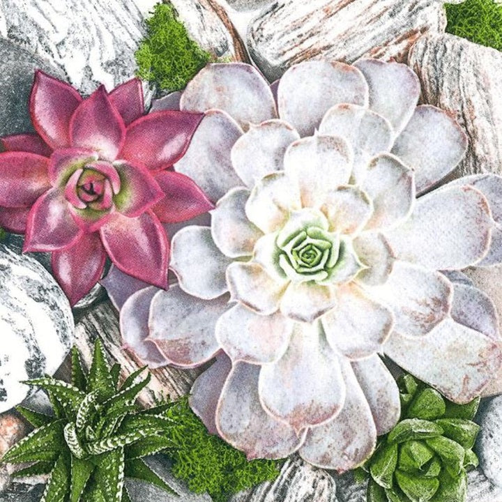 Ubrousky na dekupáž Succulent Plants and Stones Composition - 1 ks