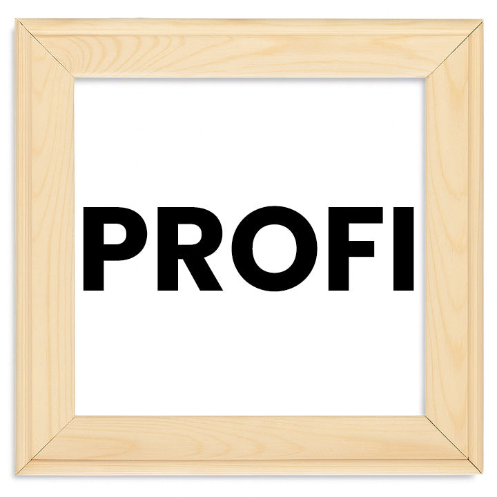 PROFI Rám na malování na plátno