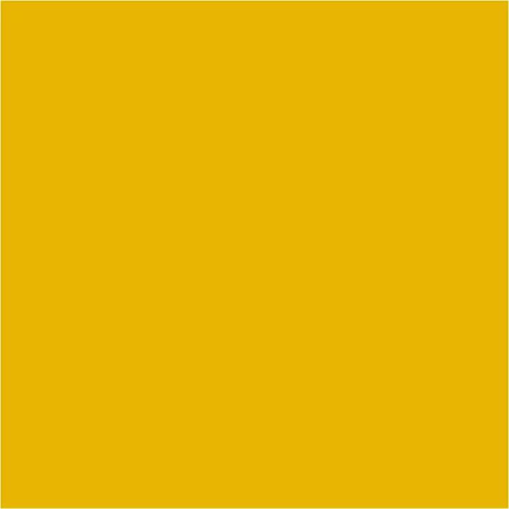 Pentart Liquid Pigments 10 ml
