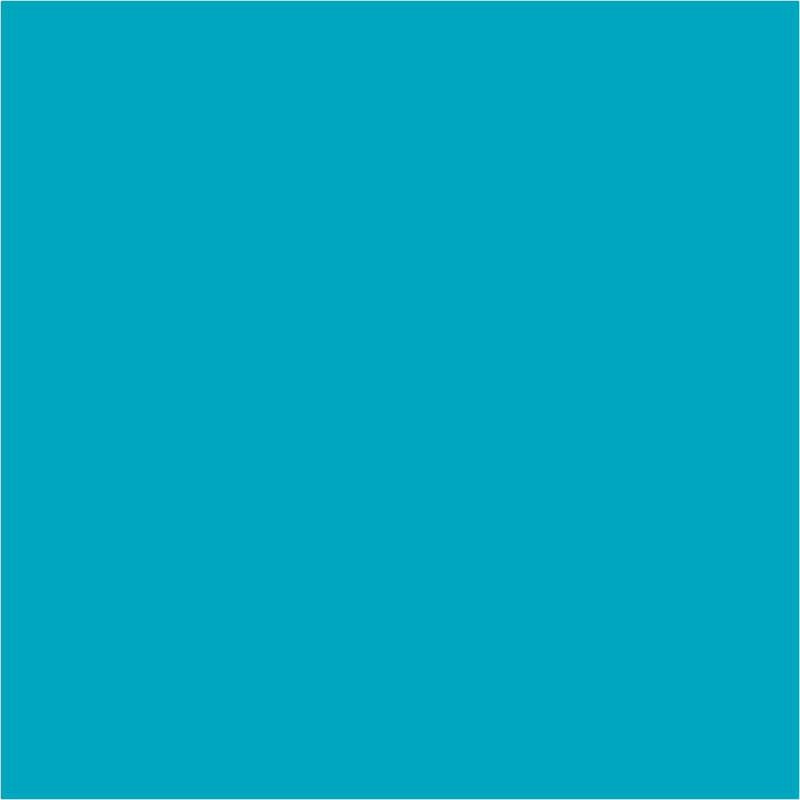Pentart Liquid Pigments 10 ml
