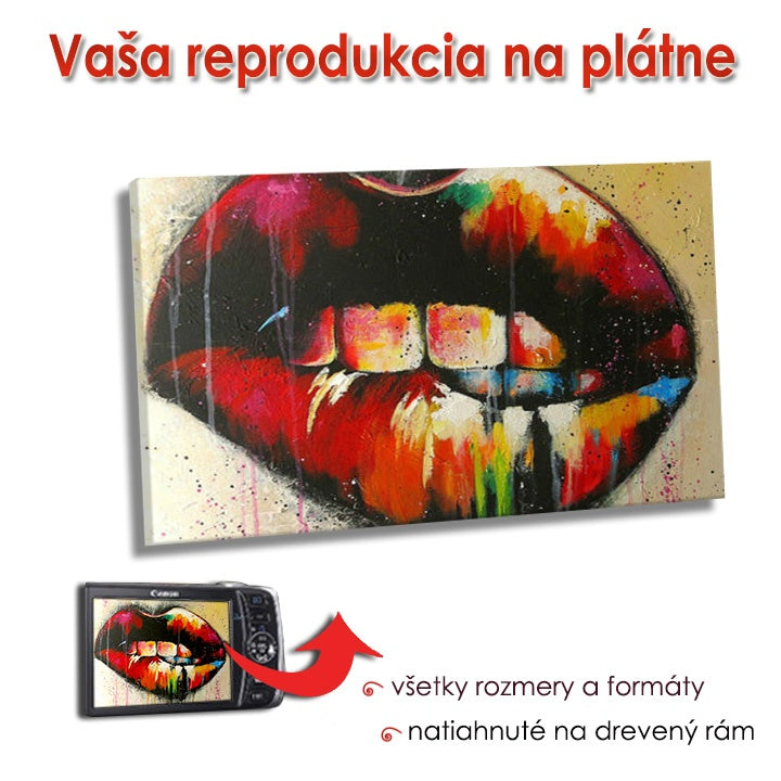Reprodukce na plátně - OBDLŽNIK