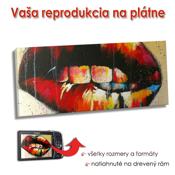 Reprodukce na plátně - PANORAMA