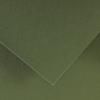 CANSON Colorline barevný papír 50 x 65 cm 150 g - 10H – Khaki zelená 89