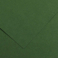 CANSON Iris Vivaldi barevný papír 50 x 65 cm, 240 g – Jedlová 31