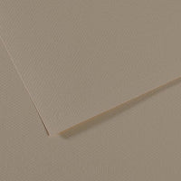 Canson Mi-Teintes papír na pastel 50 x 65 cm 160 g 25L – Ústřicová 340