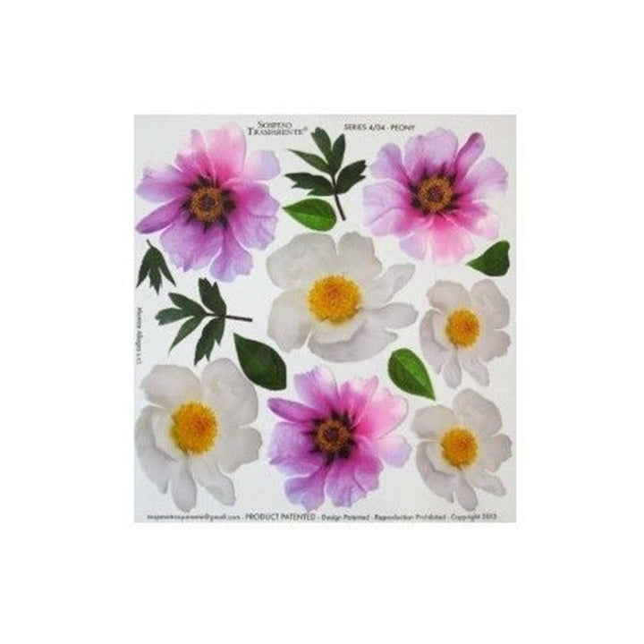 Termofólia pre techniku sospeso trasparente 23x24 cm Peony