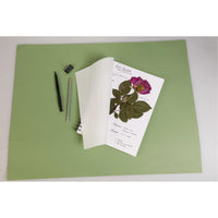 Herbář CLAIREFONTAINE 180 g/m² 21 x 21 cm - 32 listů
