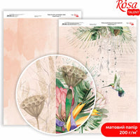 Scrapbookingové papíry King Protea A4 – No. 5