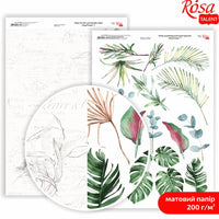 Scrapbookingové papíry King Protea A4 – No. 7