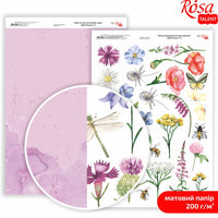 Scrapbookingové papíry Wild Flowers A4 – No. 8