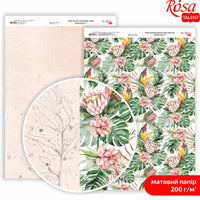 Scrapbookingové papíry King Protea A4 – No. 3
