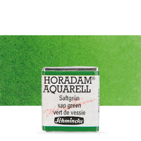 Schmincke Horadam akvarelové barvy v poloviční pánvičce – 530 sap green
