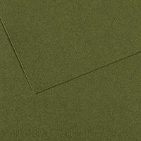 Tónovaný papír CANSON Mi-Teintes 50 x 65 cm – 160 g/m² – Břečťanová 448
